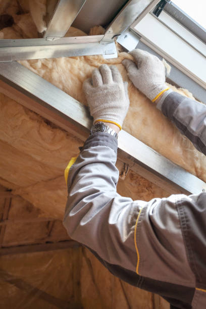 Best Geographic-Specific Insulation Services in Covelo, CA
