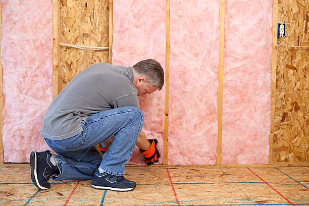 Best Cellulose Insulation in Covelo, CA