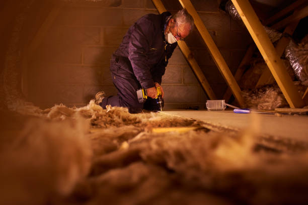 Best Eco-Friendly Insulation in Covelo, CA